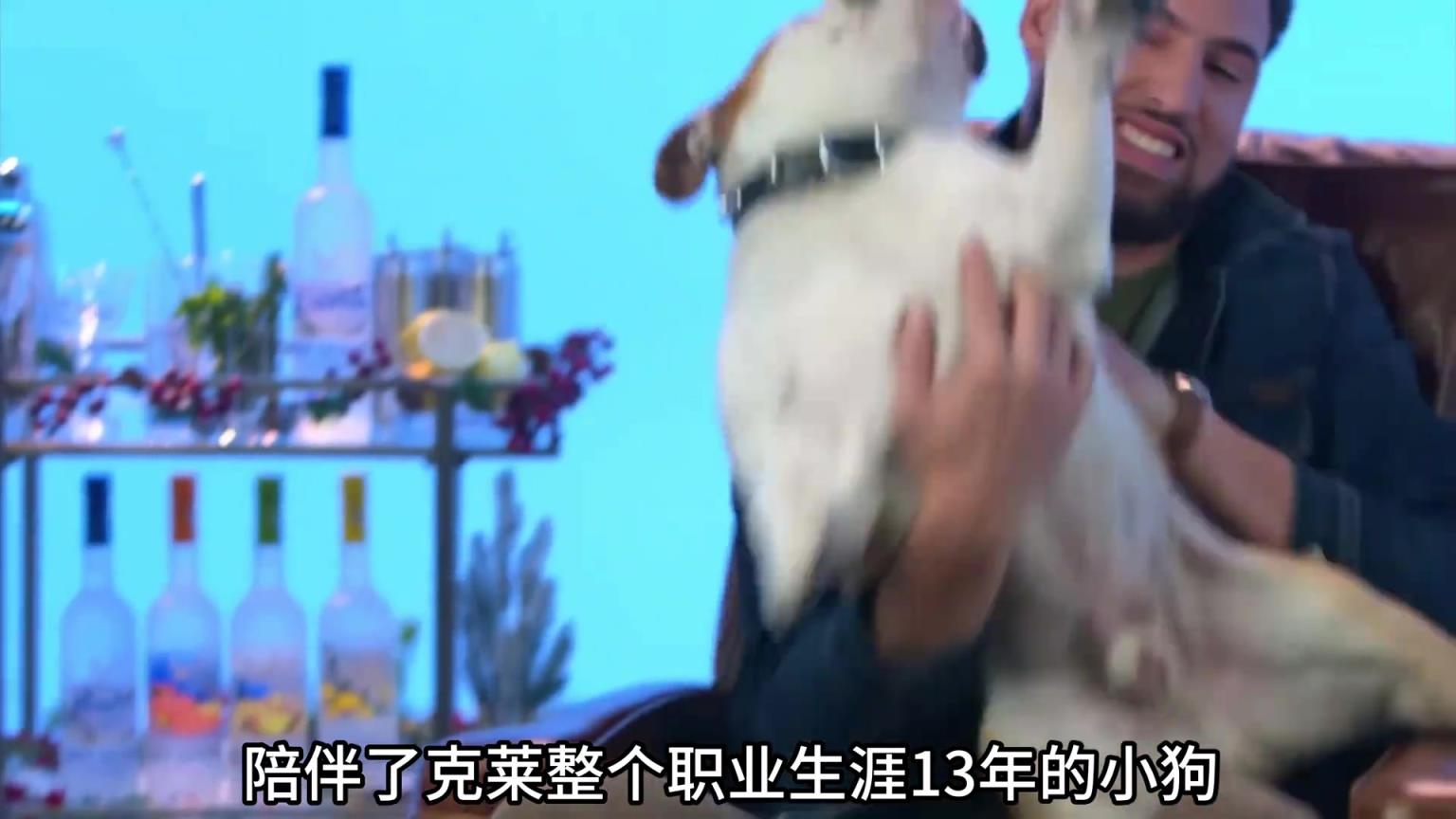 陪伴克萊13年的小狗去世了，不敢相信克萊得多么傷心